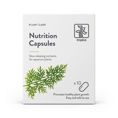 Tropica -  Capsules d'Engrais Nutritionnelles pour Poissons - x10
