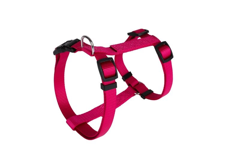 Animalis - Harnais Basic Fuchsia pour Chien - T0 12mm et 32/45cm Image numéro 1 Animalis - Harnais Basic Fuchsia pour Chien - T0 12mm et 32/45cm Image numéro 1