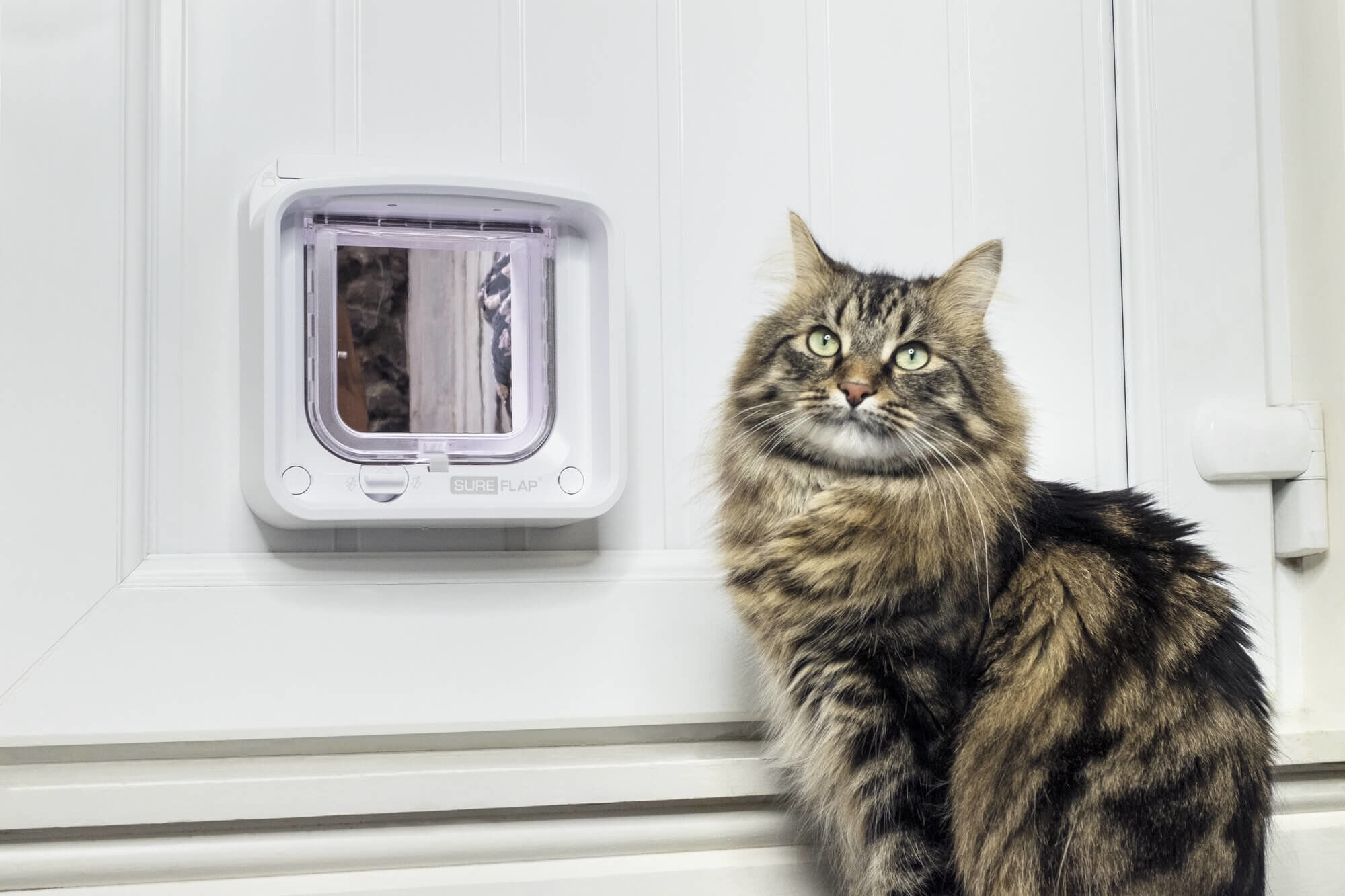 Sure PetCare - Chati&egrave;re SureFlap &agrave; puce &Eacute;lectronique Connect pour Chat - Blanc Image num&eacute;ro 3