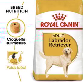 Royal Canin - Croquettes Labrador Adult pour Chiens de plus de 15 Mois - 3Kg