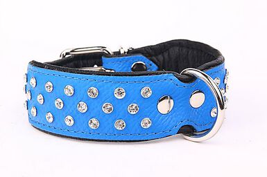 Yogipet - Collier Crystal Déco pour Chien Bleu