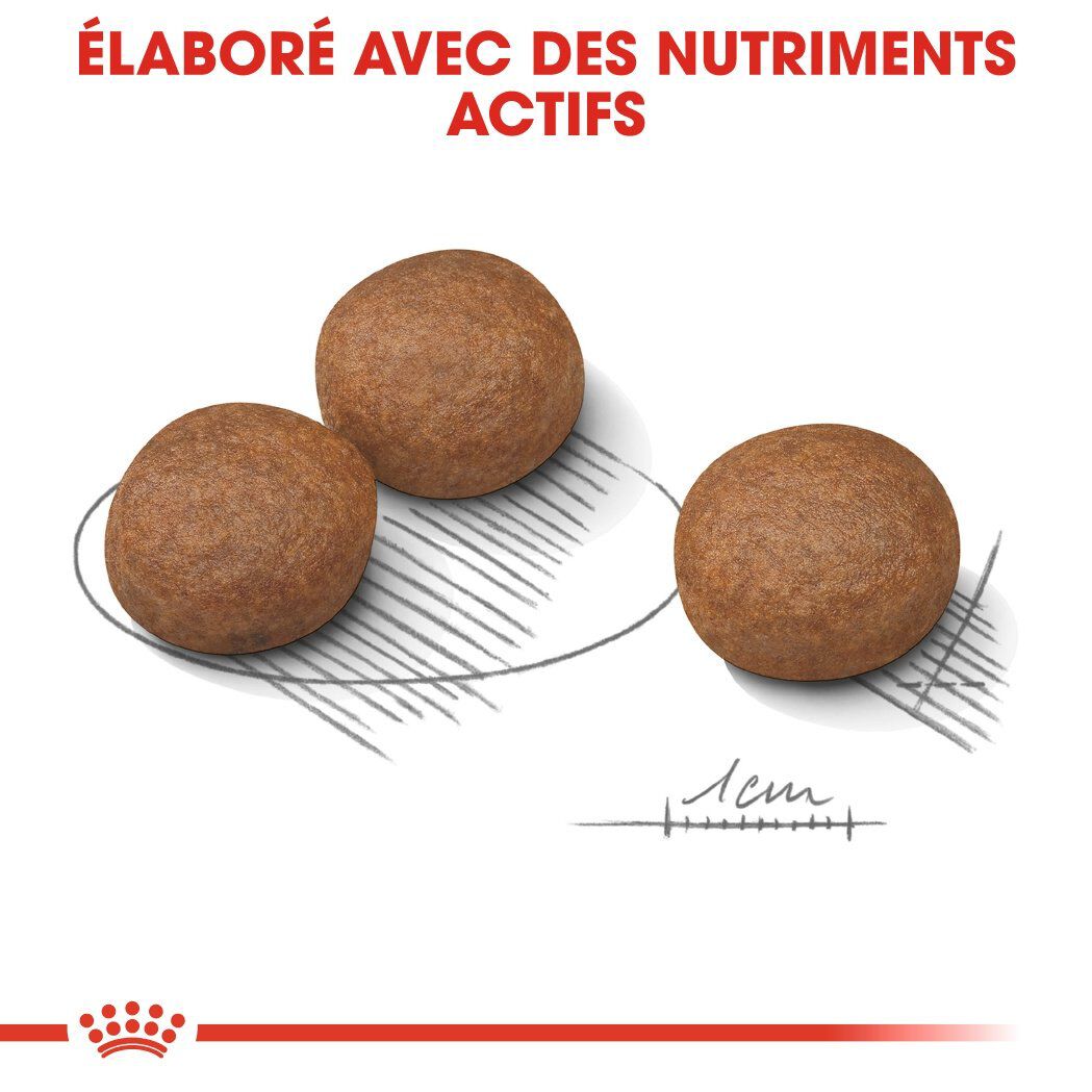 Royal Canin - Croquettes Digestive Care pour Chien - 3Kg Image num&eacute;ro 5