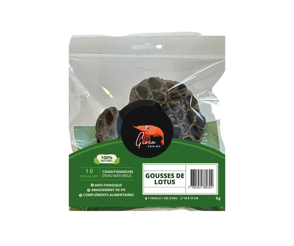 Gioiashrimp -  Cachette Naturelle Gousse de Lotus - x2 Image num&eacute;ro 1