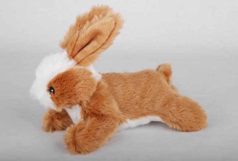 Anka - Peluche Animaux de la Forêt pour Chien - 16cm Image numéro 4 Anka - Peluche Animaux de la Forêt pour Chien - 16cm Image numéro 4