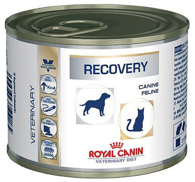 Royal Canin - Boîte Veterinary Diet Recovery pour Chien et Chat - 195g