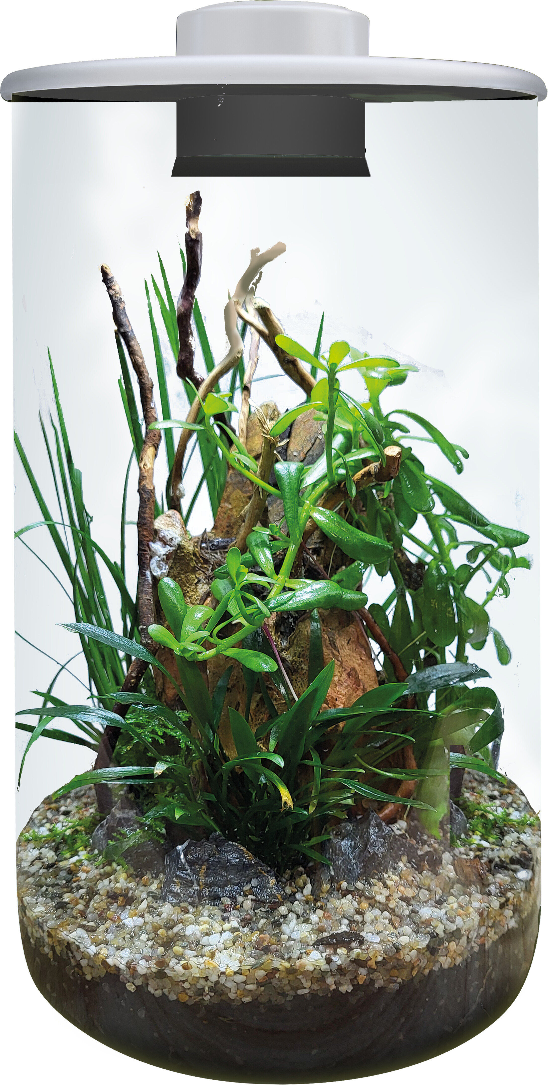 BioArt - Terrarium Cylinder 285 Led 4L pour Plantes - Blanc Image num&eacute;ro 1