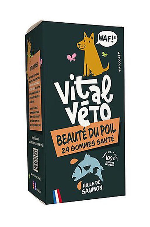 Vitalvéto - Gommes Santé Beauté du Poil pour Chien - 24g image number null