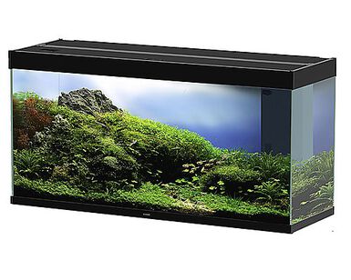 Ciano - Aquarium Emotions Nature Pro 120 - Noir