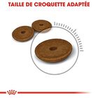 Royal Canin - Croquettes Digestive Care pour Chat - 4Kg image number null