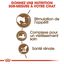 Royal Canin - Croquettes Ageing +12 pour Chat Senior - 4Kg Indicateur image numéro 4