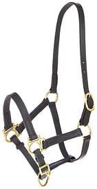 Covalliero - Licol Réglable Eco, cuir marron
