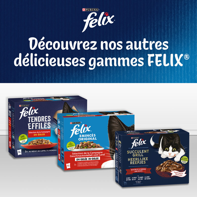 FELIX - Sachets fraîcheurs Délicieux Duos en Gelée Mixte Boeuf poulet Poisson pour Chats- 24x85g image number null