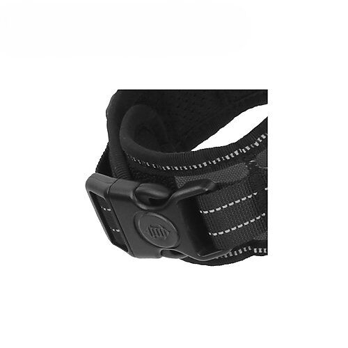 Gotoo - Harnais Essentials Noir pour Chien - S Image num&eacute;ro 3