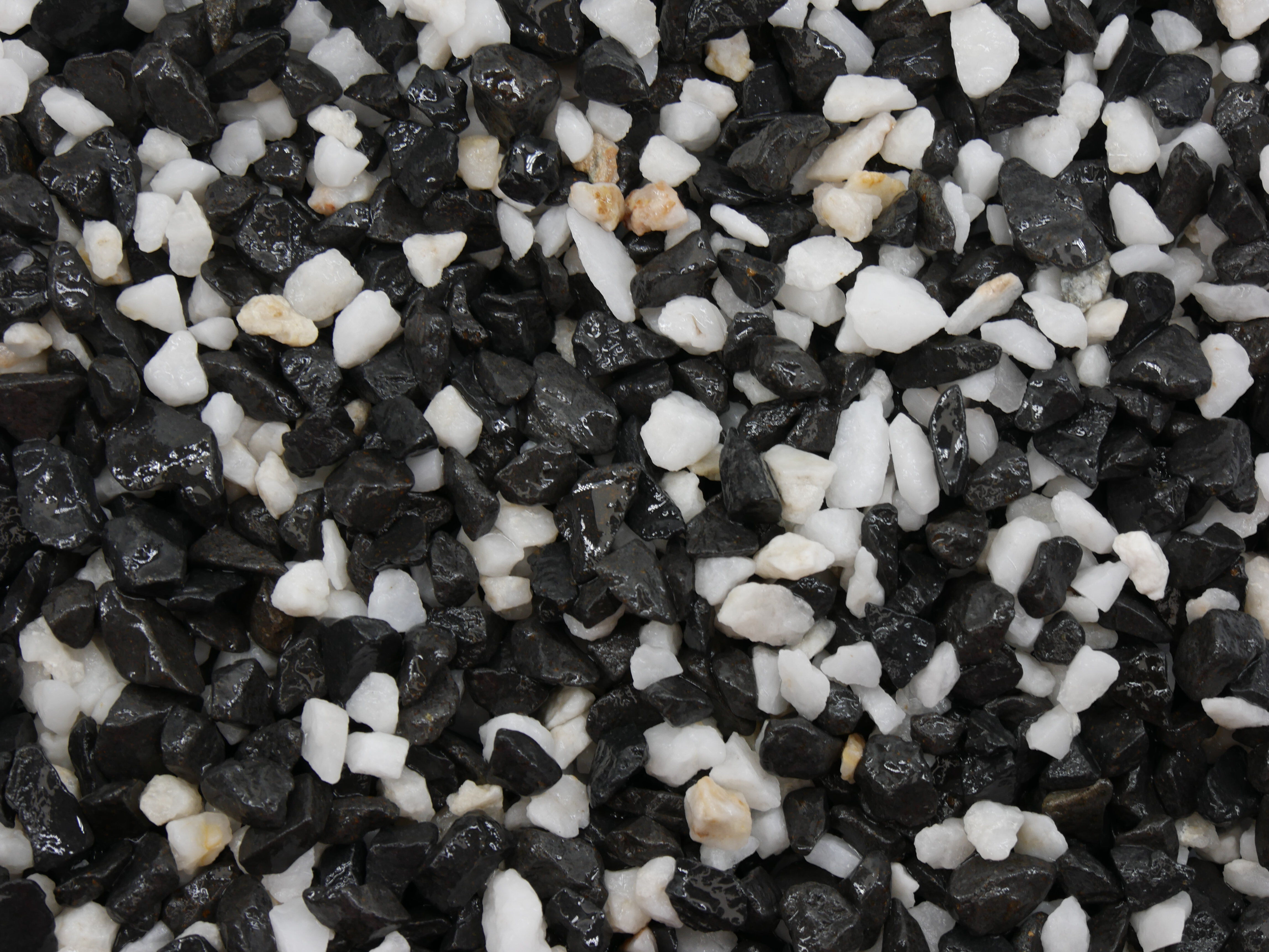 Labeo - Graviers D&eacute;co Rock Noir et Blanc pour Aquarium et Terrarium - 475g Image num&eacute;ro 2
