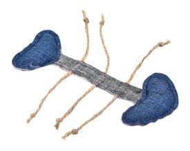 Animalis - Jouet Arête Poisson Eco pour Chat - 14,5cm