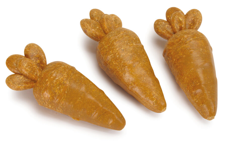 Camon - Friandises Dental Vegetal Carottes pour Rongeurs - 60g Image num&eacute;ro 2