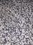 Aquadisio - Quartz Hawai pour Aquarium - 4kg Indicateur image numéro 2