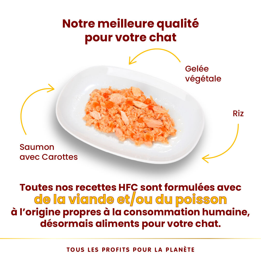 Almo Nature - P&acirc;t&eacute;e Hfc Jelly Saumon Avec Carotte - 70g Image num&eacute;ro 4