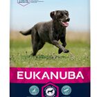 Eukanuba - Croquettes au Poulet pour Chien Adulte de Grande Taille - 15Kg image number null