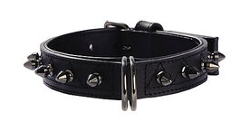 Bobby - Collier Pretty Vert pour Chiens