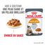 Royal Canin - Sachets Hair&Skin Sauce pour Chat - 12x85g Indicateur image numéro 1