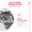 Royal Canin - Croquette Ageing 11+ pour Chats Senior - 400g Indicateur image numéro 6