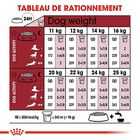 Royal Canin - Croquettes Medium Adulte 7+ pour Chien image number null