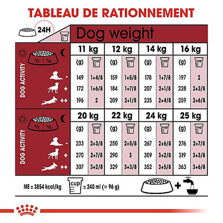 Royal Canin - Croquettes Medium Adulte 7+ pour Chien - 15Kg image number null