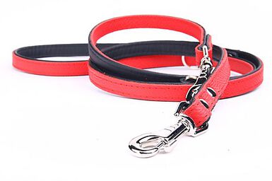 Yogipet - Laisse Ajustable 2/220cm pour Chien - Rouge