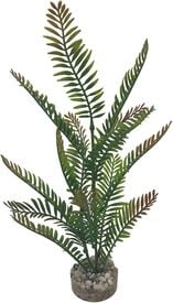 Labeo - Plante Décorative Fougère Haute pour Aquarium