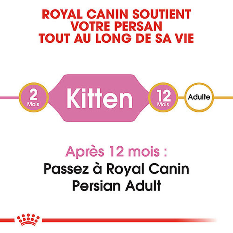 Royal Canin - Croquettes Persian Kitten pour Chatons - 2Kg image number null