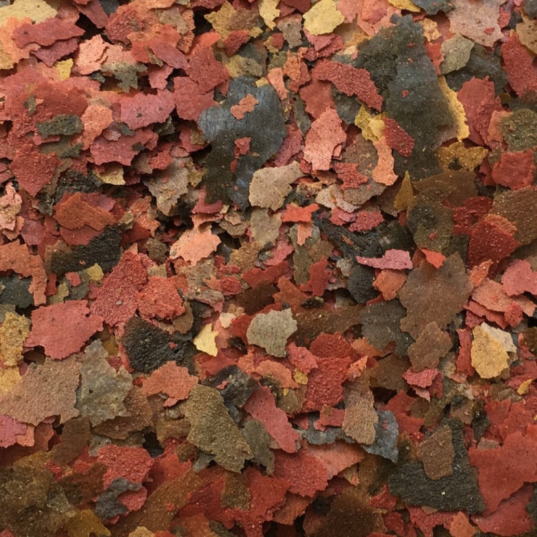 Amtra - Aliment Pro Flake - 100ml Image numéro 1 Amtra - Aliment Pro Flake - 100ml Image numéro 1