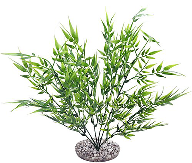 Labeo - Fond de décor - Plante Artificielle Aquarium