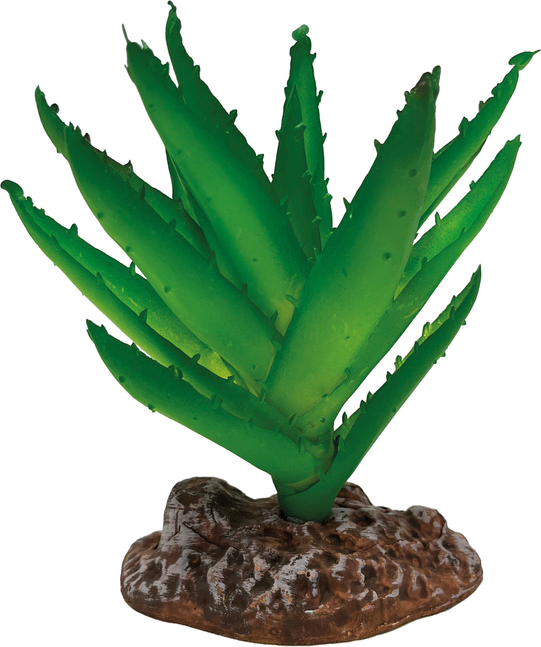 Repto - D&eacute;coration Plante Aloe Vera - R&eacute;ptiles Image num&eacute;ro 1