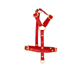 Pop Dog - Harnais &agrave; &oelig;illets Diablotin Rouge pour Chiens - L