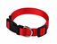 Animalis - Collier Basic Rouge pour Chien - 12mm et 23/30cm Indicateur image numéro 1