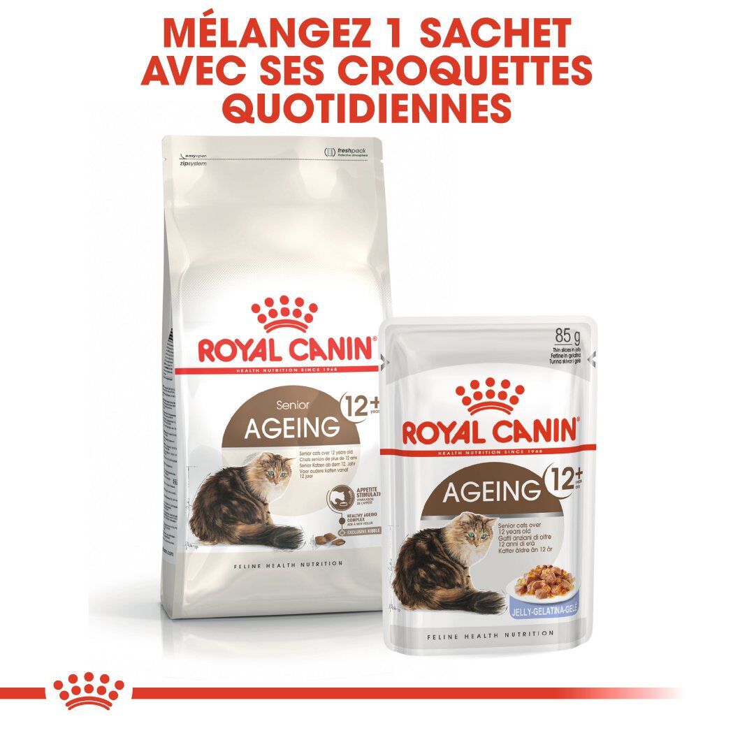 Royal Canin - Croquettes Ageing +12 pour Chat Senior - 4Kg Image num&eacute;ro 7