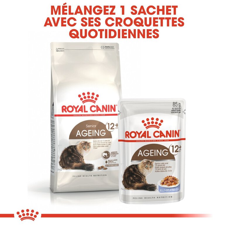 Royal Canin - Croquettes Ageing +12 pour Chat Senior - 4Kg Image numéro 7 Royal Canin - Croquettes Ageing +12 pour Chat Senior - 4Kg Image numéro 7