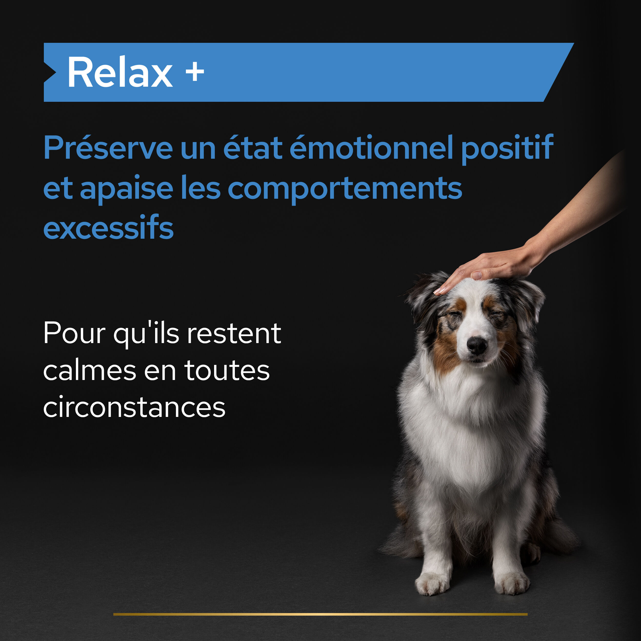 Pro Plan - Aliment compl&eacute;mentaire Relax+ en Sirop pour Chiens - 225g Image num&eacute;ro 5