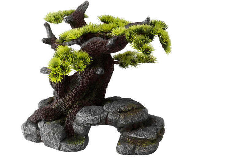 Aquadella - Décoration Bonsa ML pour Aquarium Image numéro 1 Aquadella - Décoration Bonsa ML pour Aquarium Image numéro 1