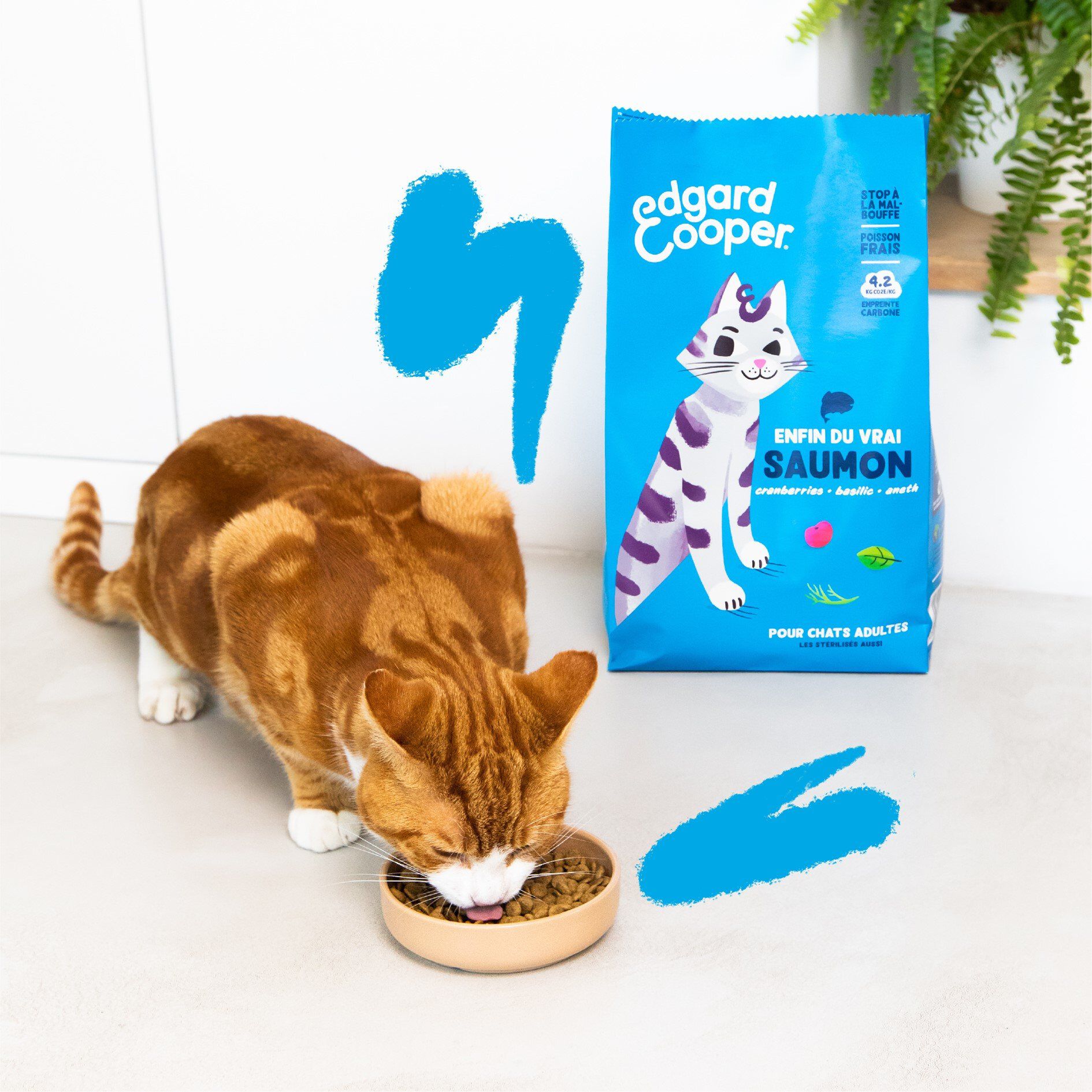 Edgard & Cooper - Croquettes au Saumon pour Chat Adulte - 2Kg Image num&eacute;ro 3