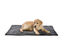 Bobby - Plaid Cosy Gris pour Chats - L Indicateur image numéro 2