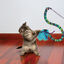 KONG - Jouet  Baguette Teaser Curlz pour Chats Indicateur image numéro 4