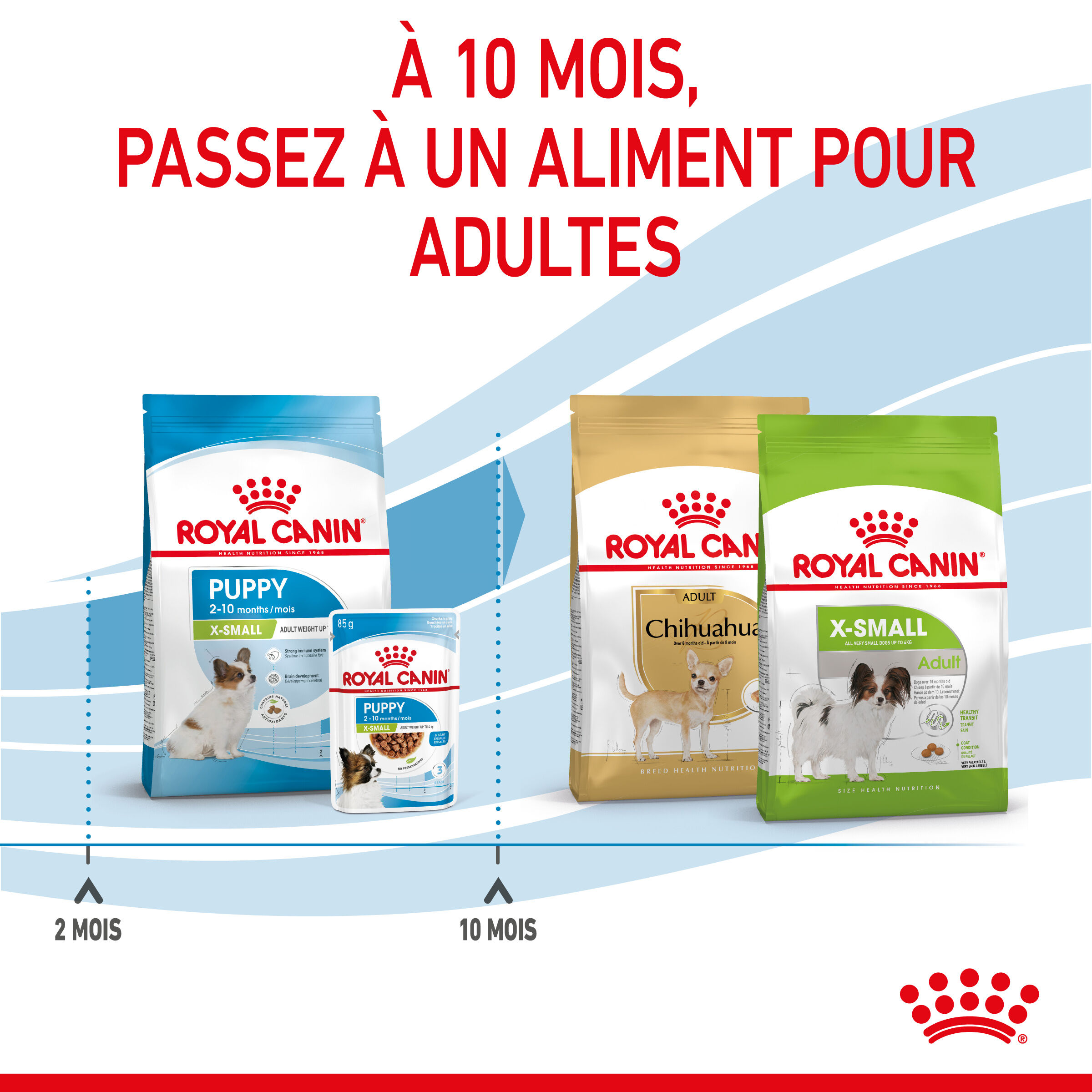 Royal Canin - Croquettes X-Small Puppy pour Chiots de 2 &agrave; 10 Mois - 500g Image num&eacute;ro 6