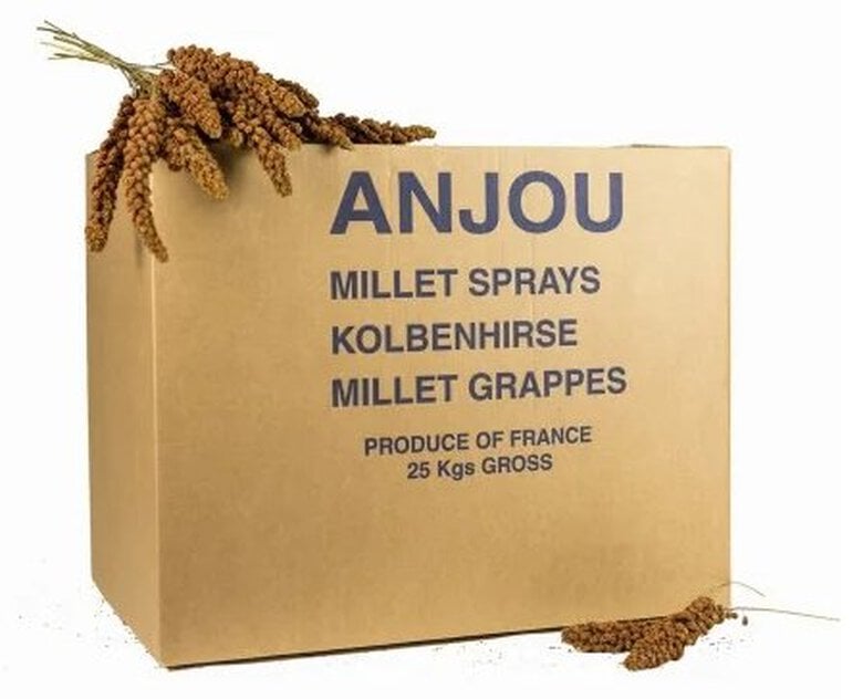Octave Bauchant - Millet Rouge en Grappes Carton - 25Kg Image numéro 1 Octave Bauchant - Millet Rouge en Grappes Carton - 25Kg Image numéro 1