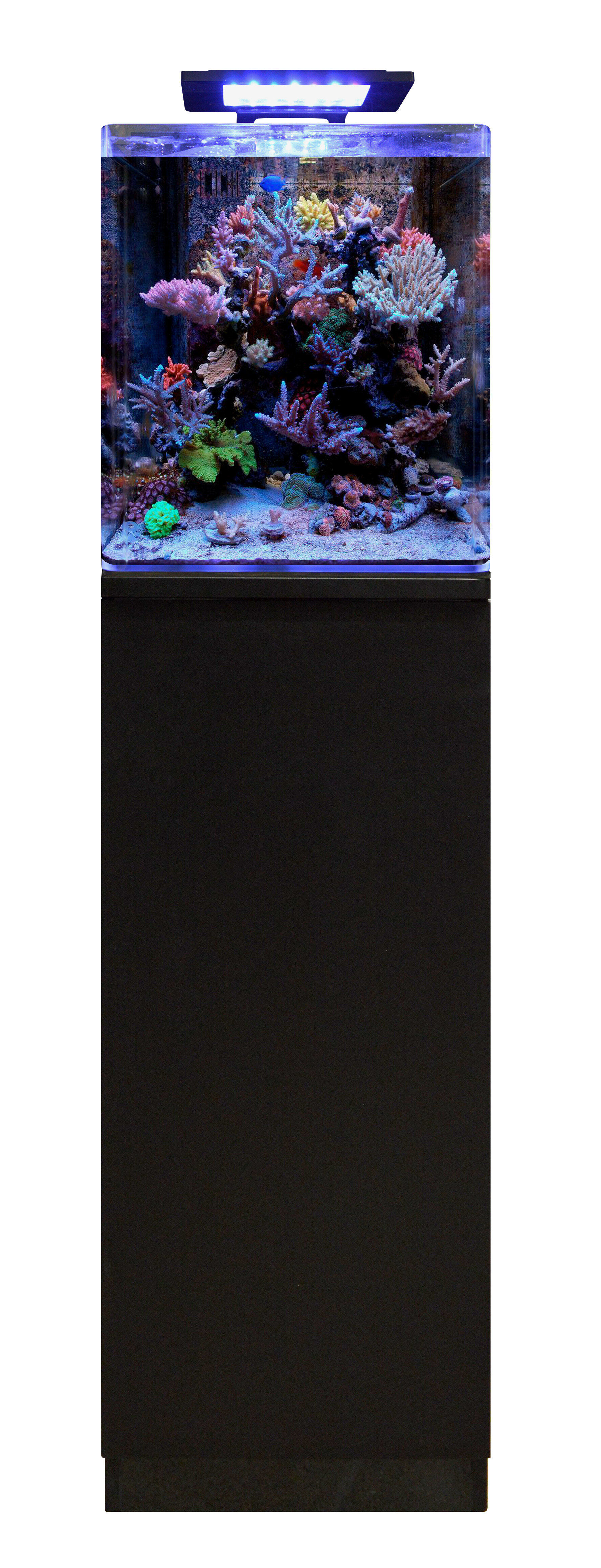 Blue Marine - Meuble Reef 60 Noir pour Aquarium Eau de Mer - 35x45x86cm Image num&eacute;ro 1