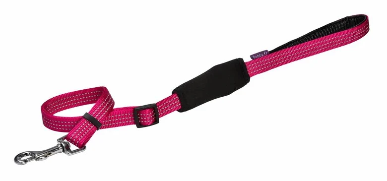 Bobby - Laisse avec Attache Sécurité Voiture Fuchsia pour Chien - M Image numéro 1 Bobby - Laisse avec Attache Sécurité Voiture Fuchsia pour Chien - M Image numéro 1