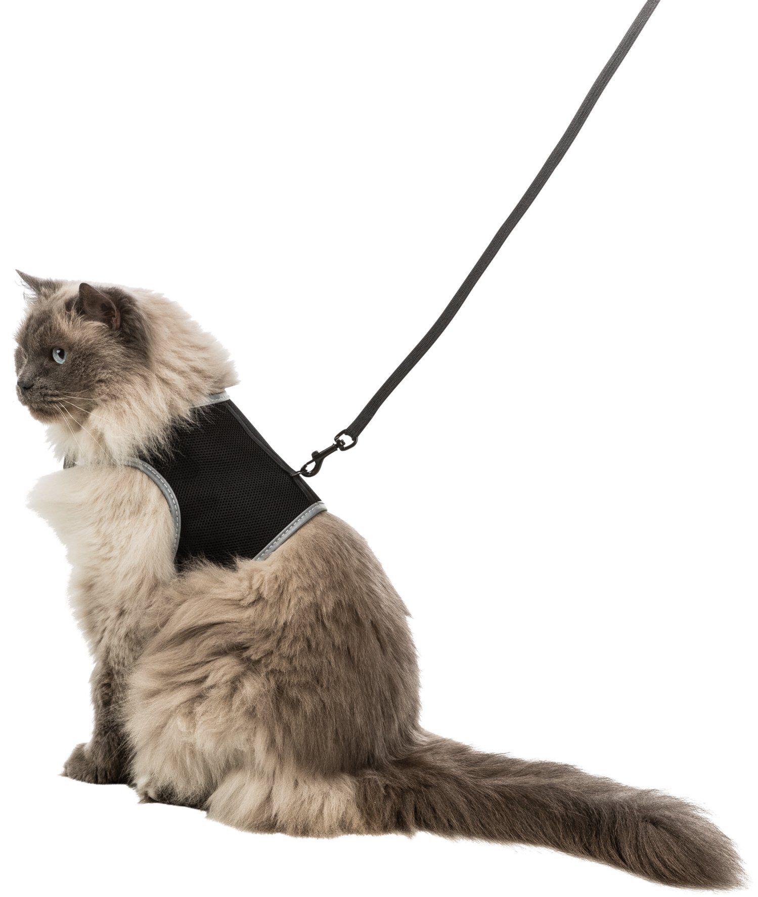 Trixie - Harnais Doux avec Laisse Noir pour Chat - XXL Image num&eacute;ro 1