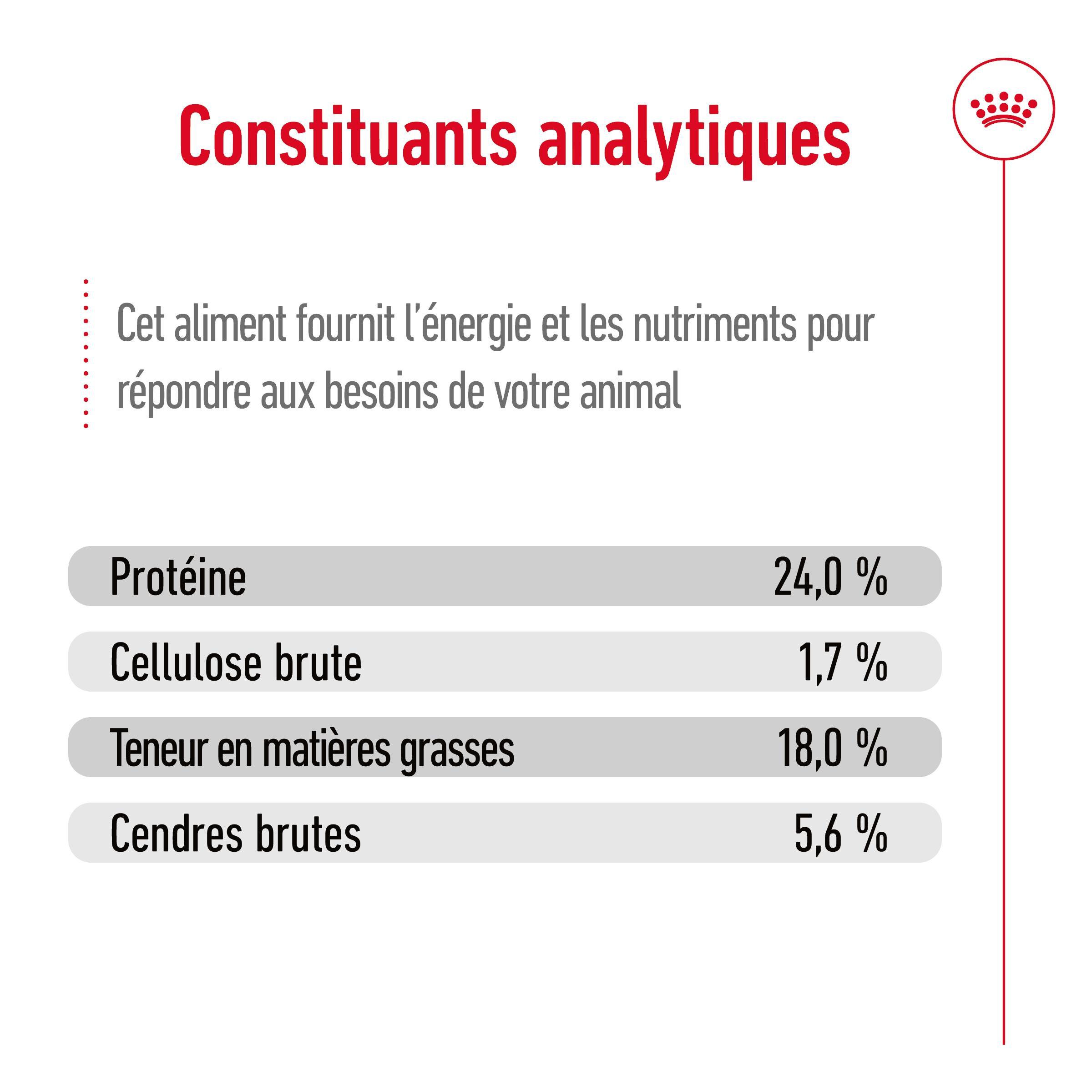 Royal Canin - Croquettes  X Small pour Chien Adulte de Petite Taille - 1,5Kg Image num&eacute;ro 9