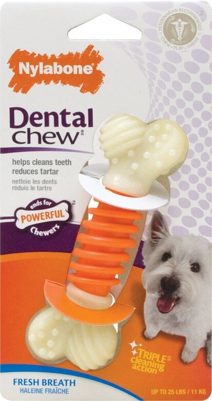 Nylabone - Jouet Os Dental Chew Pro-Action pour Chien - S Image numéro 1 Nylabone - Jouet Os Dental Chew Pro-Action pour Chien - S Image numéro 1